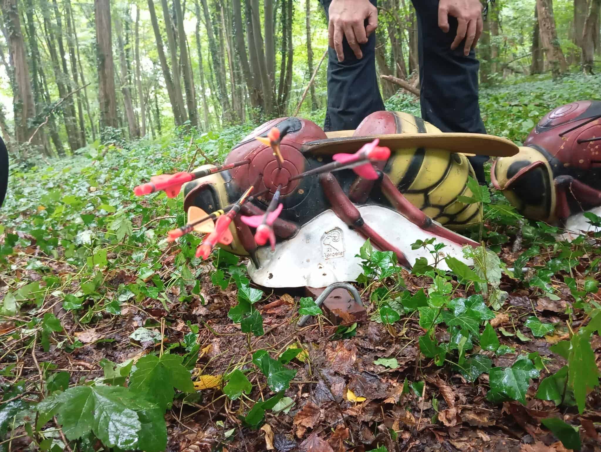 Tir Campagne - © Aire-sur-la-Lys